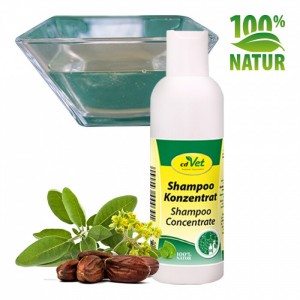 Čajovníkový šampón koncentrát - cdVet