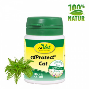 Odčervovacie byliny pre mačky - cdVet