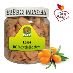 Losos, mrazom sušený 110 g