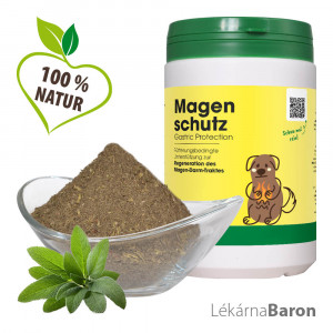 Ochrana žalúdka - cdVet