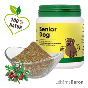 Senior-Dog - cdVet